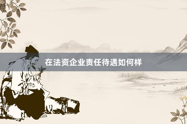 在法资企业责任待遇如何样